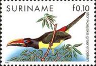 [Fauna - Birds, type BEM]