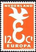 #375