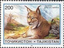 chad ss 1v-in margin sos tajikistan 97  1996