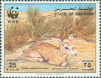 [The Goitered Gazelle, Scrivi JX]