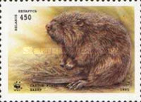 [European Beaver, type CH]