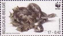 [World Wildlife Foundation, type CHN]