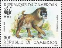 sos cameroon 843 1988