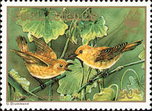 [Endangered Birds of the Cook Islands, Scrivi AAE]