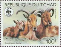 [Endangered Animals - Barbary Sheep, type ADQ]