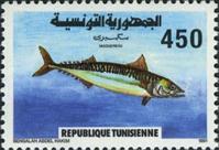 sos tunisia 993  1991
