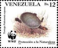 [Tortoises, type CZP]
