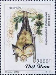 sos vietnam 3012 2000