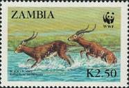 sos zambia 427  1987